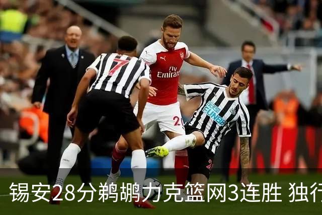 锡安28分鹈鹕力克篮网3连胜 独行侠险胜马刺